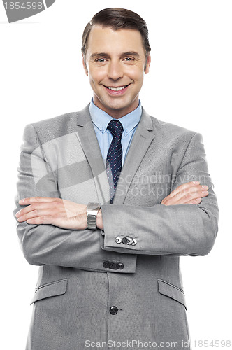 Image of Half length portrait of handsome male executive