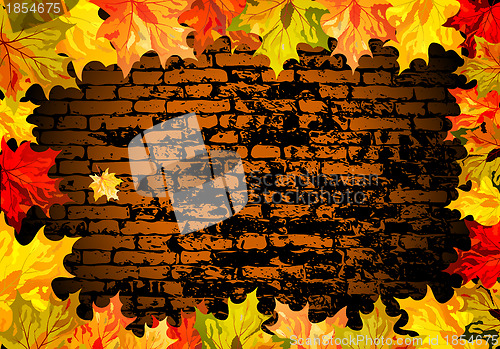 Image of Autumn maple leaves