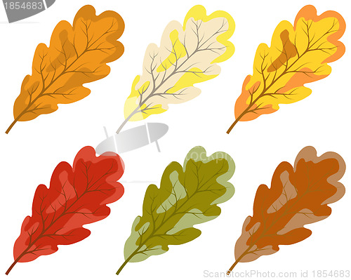 Image of Collection of color autumn leaves