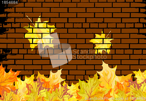Image of Autumn maple leaves