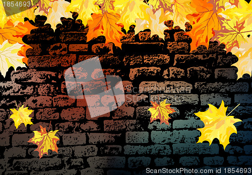 Image of Autumn maple leaves