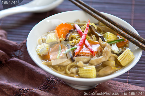 Image of Noodle with chicken and mushroom in gravy sauce