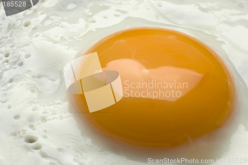 Image of egg
