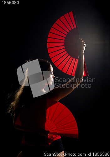 Image of Flamenco beauty