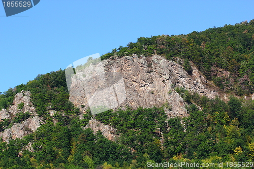 Image of rocks and forest