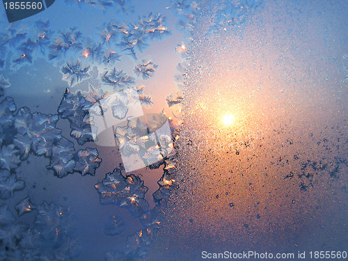 Image of Ice pattern and sunlight on winter glass