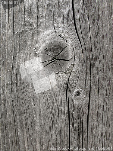 Image of Wooden texture