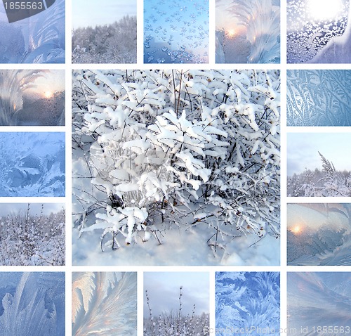 Image of Winter collage