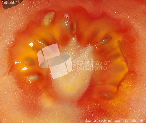 Image of abstract tomato detail