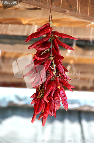 Image of Dried red pepper, country market