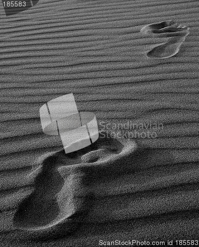 Image of Step marks in the sand