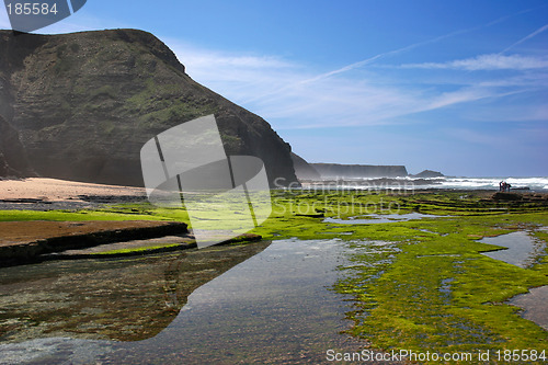 Image of Beautiful beach