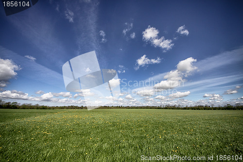 Image of landscape