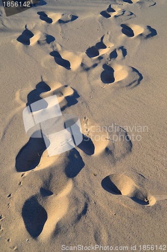 Image of footprints