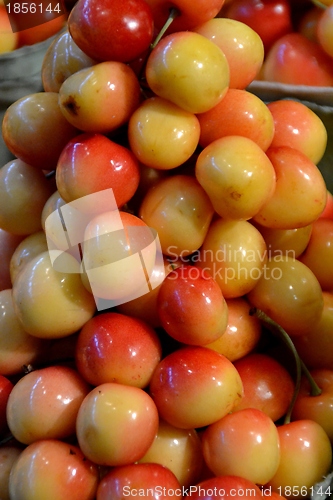 Image of mirabelles