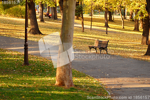 Image of Autumn park