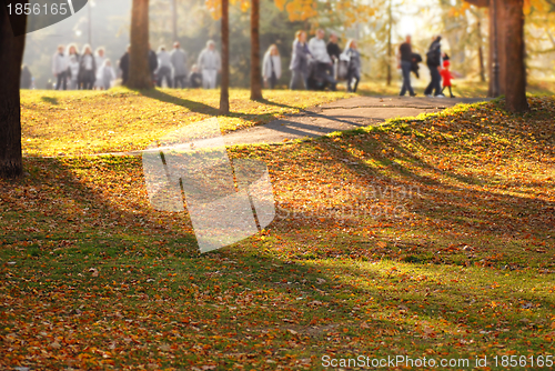 Image of Autumn park