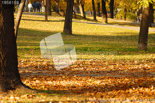 Image of Autumn park