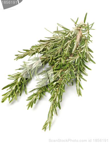 Image of Bunch of Rosemary