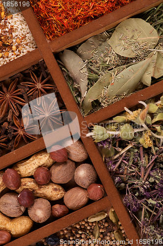 Image of Spicy Spices in Wooden Box