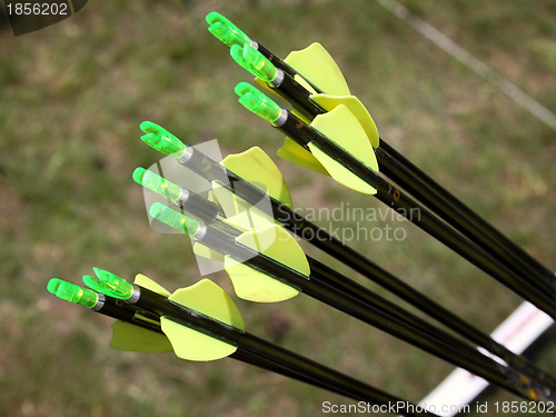 Image of Arrows