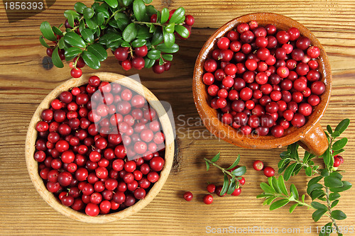 Image of Cowberries