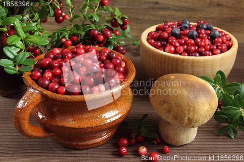 Image of Cowberries