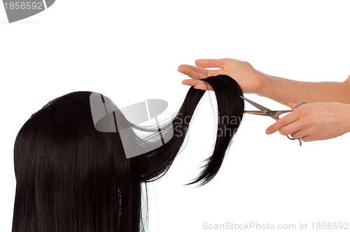 Image of hairdresser