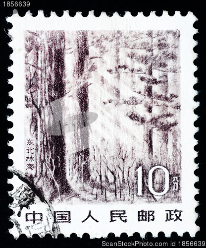 Image of Stamp printed in China shows immense forest in the Northeast