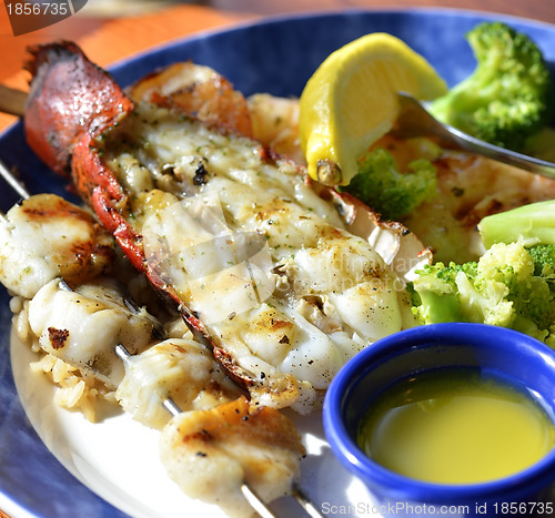 Image of lobster Shrimps And Scallops