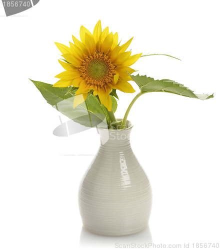 Image of Sunflower In A Vase