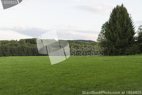 Image of landscape with grassland in south germany