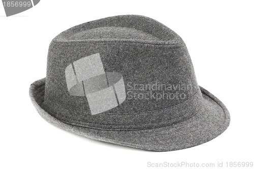 Image of Stylish gray fedora hat