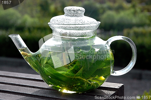 Image of Green
