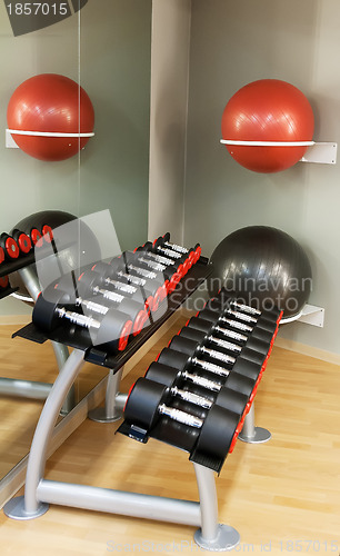 Image of Serie of dumbbells in a row at gym