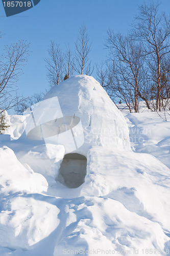 Image of Igloo