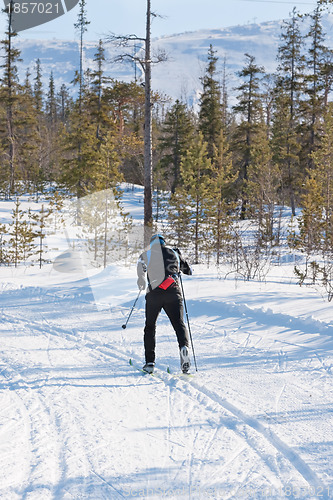 Image of skier runs cross-country skiing