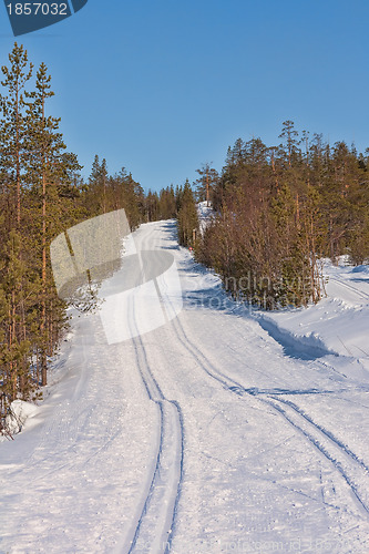 Image of Ski track cross-country skiing