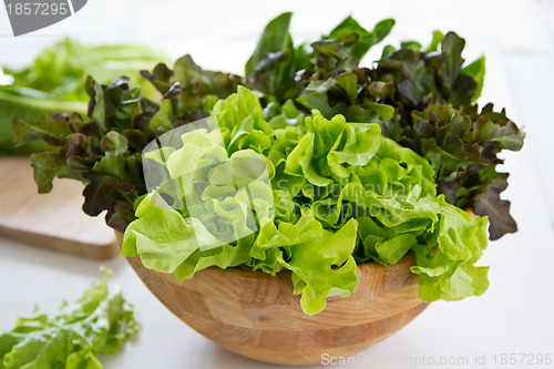 Image of Varieties of Lettuce