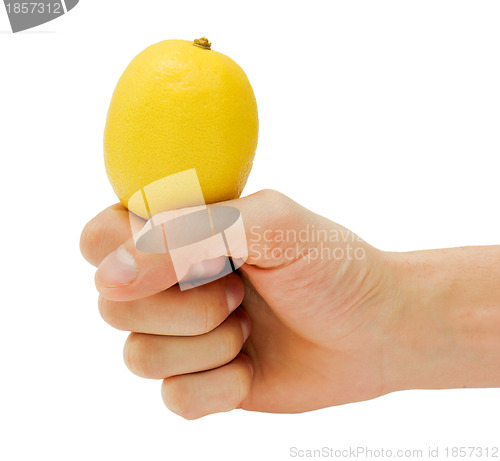 Image of man's hand holding a lemon