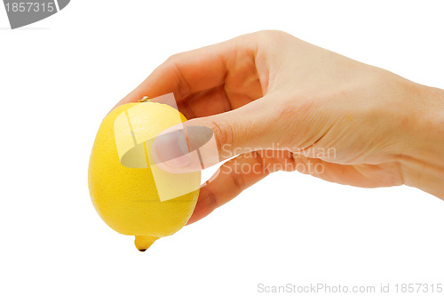 Image of man's hand holding a lemon