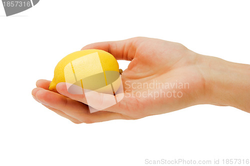 Image of man's hand holding a lemon