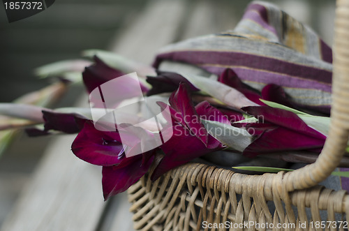 Image of A basket with Gladiola -Gladioli-Gladiolus and cotton scarf