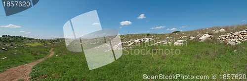 Image of Hiking trail among Mediterranean landscape in spring