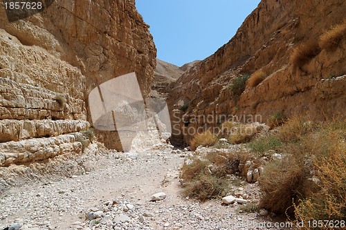Image of Desert canyon