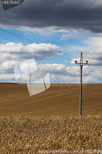 Image of Barley field