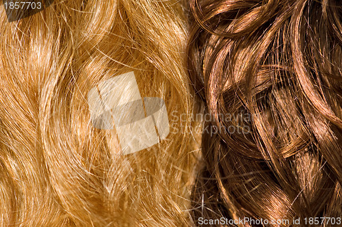 Image of curly wigs