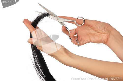 Image of hairdresser cutting young woman