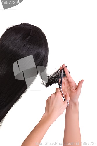 Image of hairdresser cutting young woman