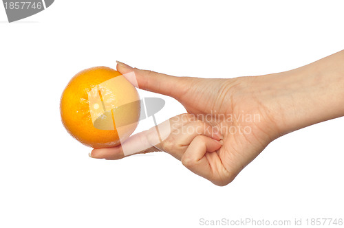 Image of woman holding yellow sweet fruit tangerine